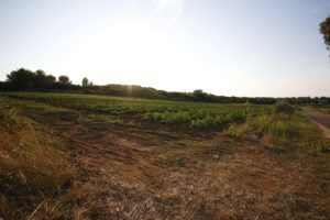MG 3430 - Agenzia Immobiliare Lecce - Lusso, Appartamenti, Case, Ville