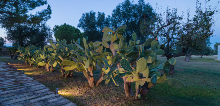 Grottaglie villa rifinita in parco con piscina