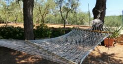 Putignano Villa panoramica in ottimo stato con giardino attrezzato