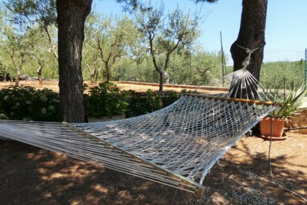 Putignano Villa panoramica in ottimo stato con giardino attrezzato