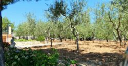 Putignano Villa panoramica in ottimo stato con giardino attrezzato
