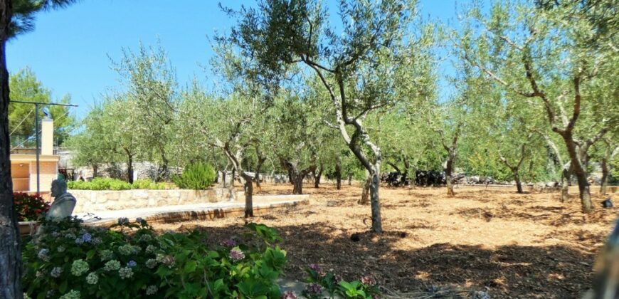 Putignano Villa panoramica in ottimo stato con giardino attrezzato