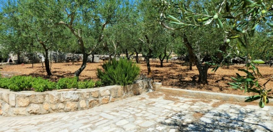 Putignano Villa panoramica in ottimo stato con giardino attrezzato