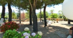 Putignano Villa panoramica in ottimo stato con giardino attrezzato