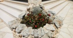 Putignano Villa panoramica in ottimo stato con giardino attrezzato