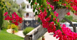 Tuglie centro storico Palazzo dell’800 con grande giardino