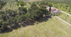 Castel Del Monte storica masseria a corte immersa nel verde