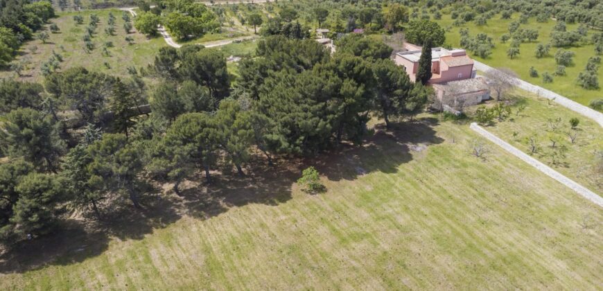 Castel Del Monte storica masseria a corte immersa nel verde