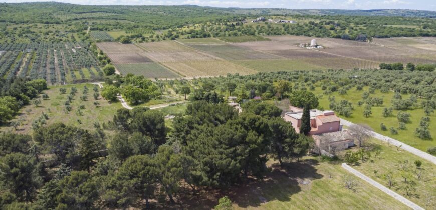 Castel Del Monte storica masseria a corte immersa nel verde