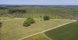 Castel Del Monte storica masseria a corte immersa nel verde