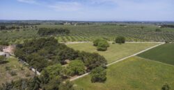 Castel Del Monte storica masseria a corte immersa nel verde