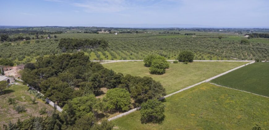 Castel Del Monte storica masseria a corte immersa nel verde