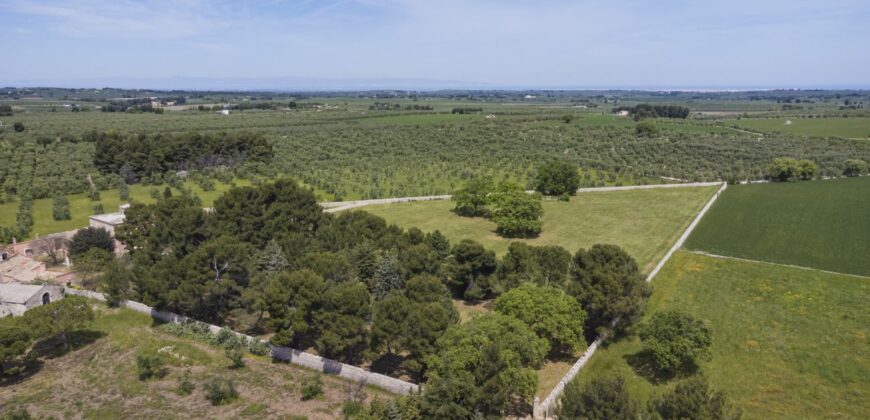 Castel Del Monte storica masseria a corte immersa nel verde