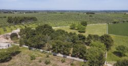 Castel Del Monte storica masseria a corte immersa nel verde