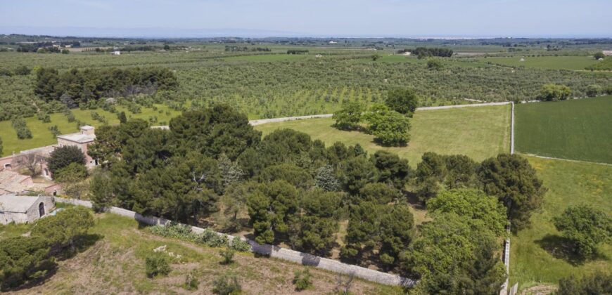 Castel Del Monte storica masseria a corte immersa nel verde