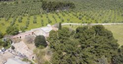 Castel Del Monte storica masseria a corte immersa nel verde