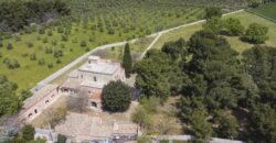 Castel Del Monte storica masseria a corte immersa nel verde