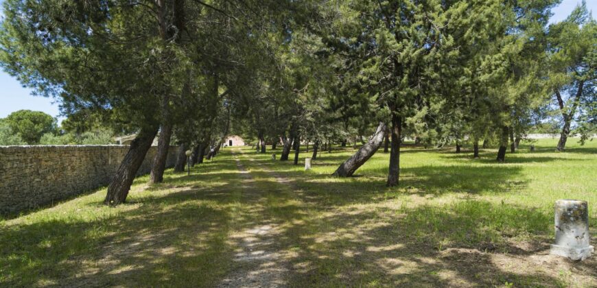 Castel Del Monte storica masseria a corte immersa nel verde