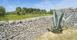 Castel Del Monte storica masseria a corte immersa nel verde