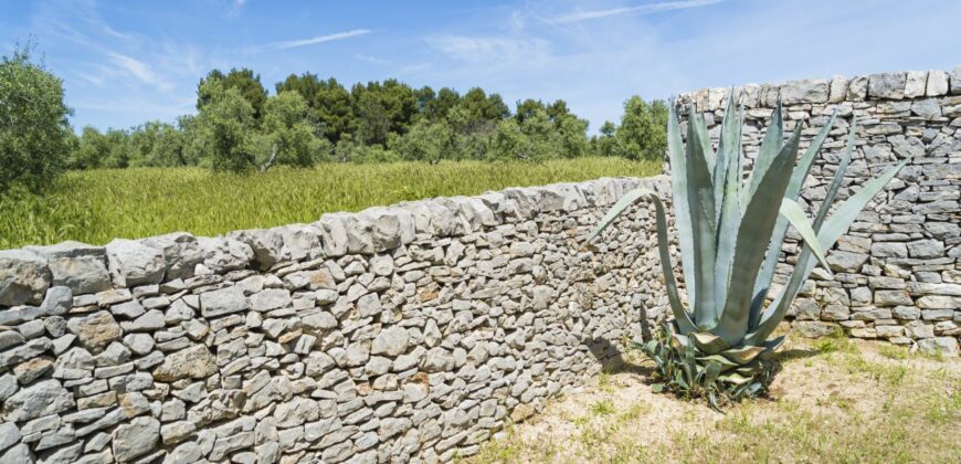 Castel Del Monte storica masseria a corte immersa nel verde