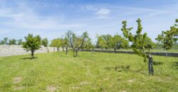 Castel Del Monte storica masseria a corte immersa nel verde