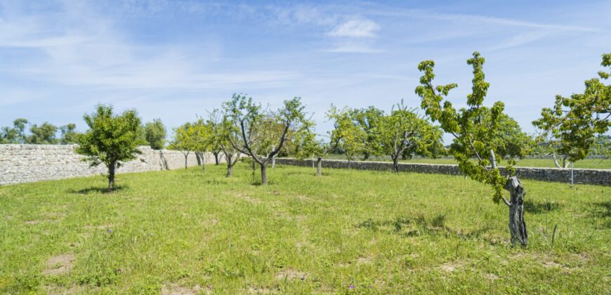 Castel Del Monte storica masseria a corte immersa nel verde