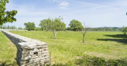 Castel Del Monte storica masseria a corte immersa nel verde