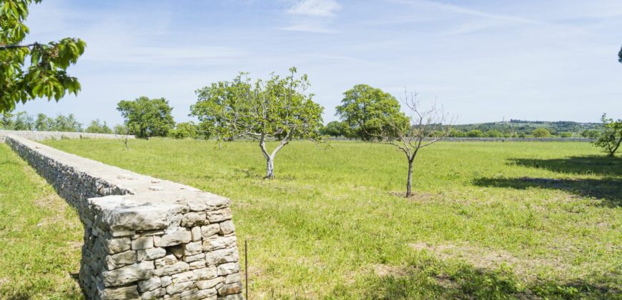 Castel Del Monte storica masseria a corte immersa nel verde