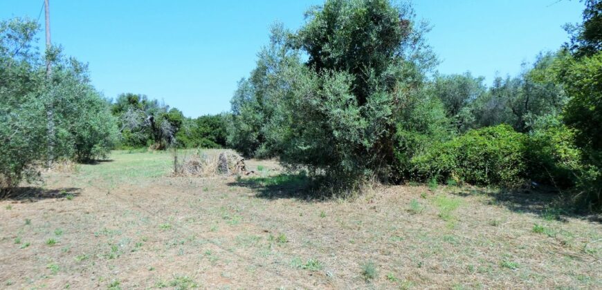 Neviano zona Serre terreno con fabbricato rurale