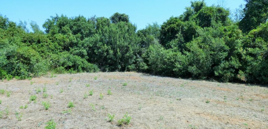 Neviano zona Serre terreno con fabbricato rurale