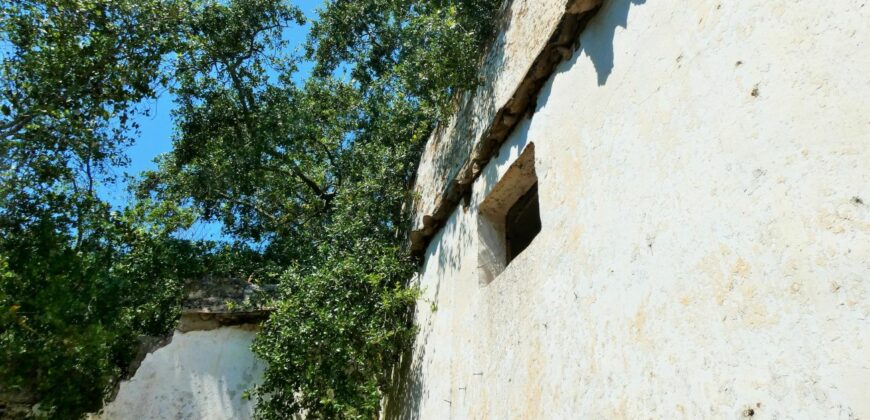 Neviano zona Serre terreno con fabbricato rurale