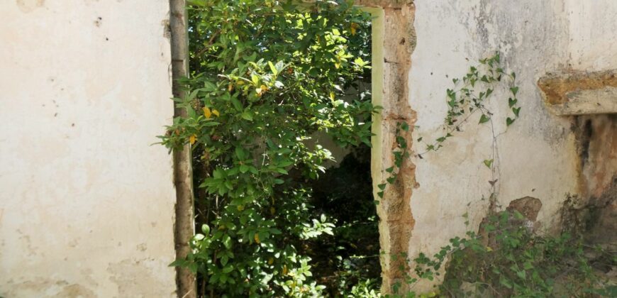 Neviano zona Serre terreno con fabbricato rurale