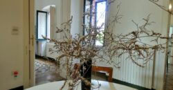 Deliziosa dimora indipendente a Collepasso