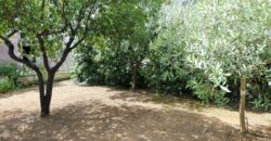 Deliziosa dimora indipendente a Collepasso
