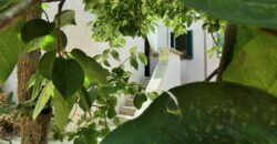 Deliziosa dimora indipendente a Collepasso