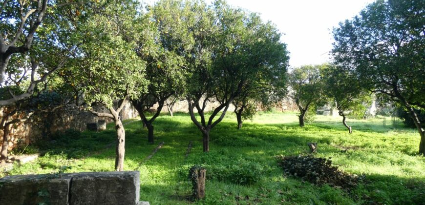 Caprarica antico tabacchifico con giardino