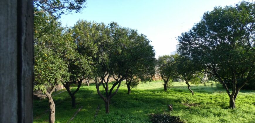 Caprarica antico tabacchifico con giardino