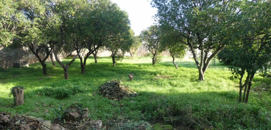 Caprarica antico tabacchifico con giardino