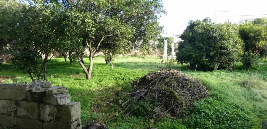 Caprarica antico tabacchifico con giardino
