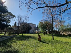 1000086863 - Agenzia Immobiliare Lecce - Lusso, Appartamenti, Case, Ville