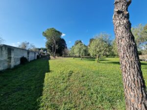 1000086869 - Agenzia Immobiliare Lecce - Lusso, Appartamenti, Case, Ville