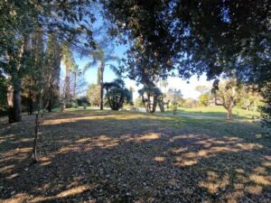 1000086872 - Agenzia Immobiliare Lecce - Lusso, Appartamenti, Case, Ville