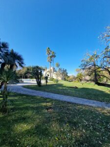 1000086873 - Agenzia Immobiliare Lecce - Lusso, Appartamenti, Case, Ville