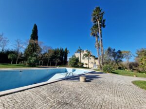 1000086878 - Agenzia Immobiliare Lecce - Lusso, Appartamenti, Case, Ville