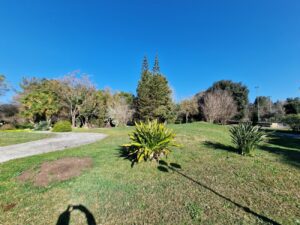1000086886 - Agenzia Immobiliare Lecce - Lusso, Appartamenti, Case, Ville