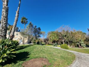 1000086888 - Agenzia Immobiliare Lecce - Lusso, Appartamenti, Case, Ville