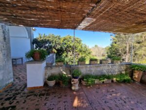1000086926 - Agenzia Immobiliare Lecce - Lusso, Appartamenti, Case, Ville