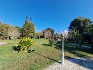 20240214 101124 - Agenzia Immobiliare Lecce - Lusso, Appartamenti, Case, Ville