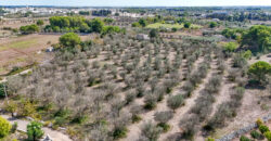 Castrignano De Greci, nel cuore della Grecìa Salentina, antica masseria da ristrutturare
