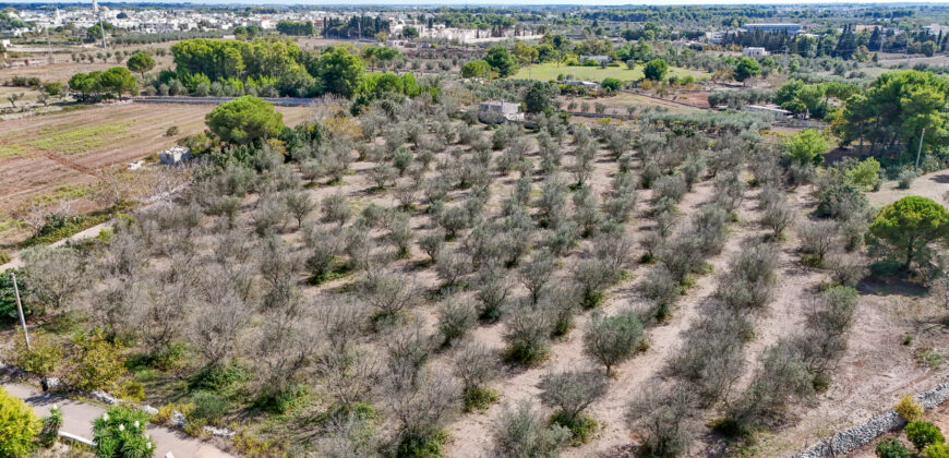 Castrignano De Greci, nel cuore della Grecìa Salentina, antica masseria da ristrutturare